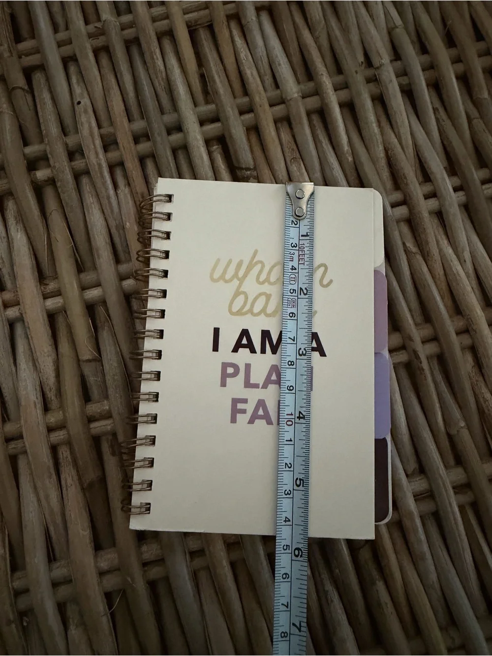 Flying Tiger Copenhagen- 'Wham Bam I Am A Plan Fan' small notebook w dividers